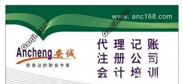 蜀山井崗路企業(yè)一站式財(cái)稅服務(wù)指南 代理記賬、進(jìn)出口權(quán)及審計(jì)變更全解析